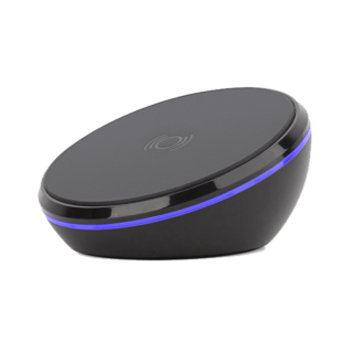 Suspendisse vehicula at dui